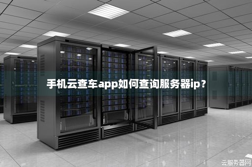 手机云查车app如何查询服务器ip？